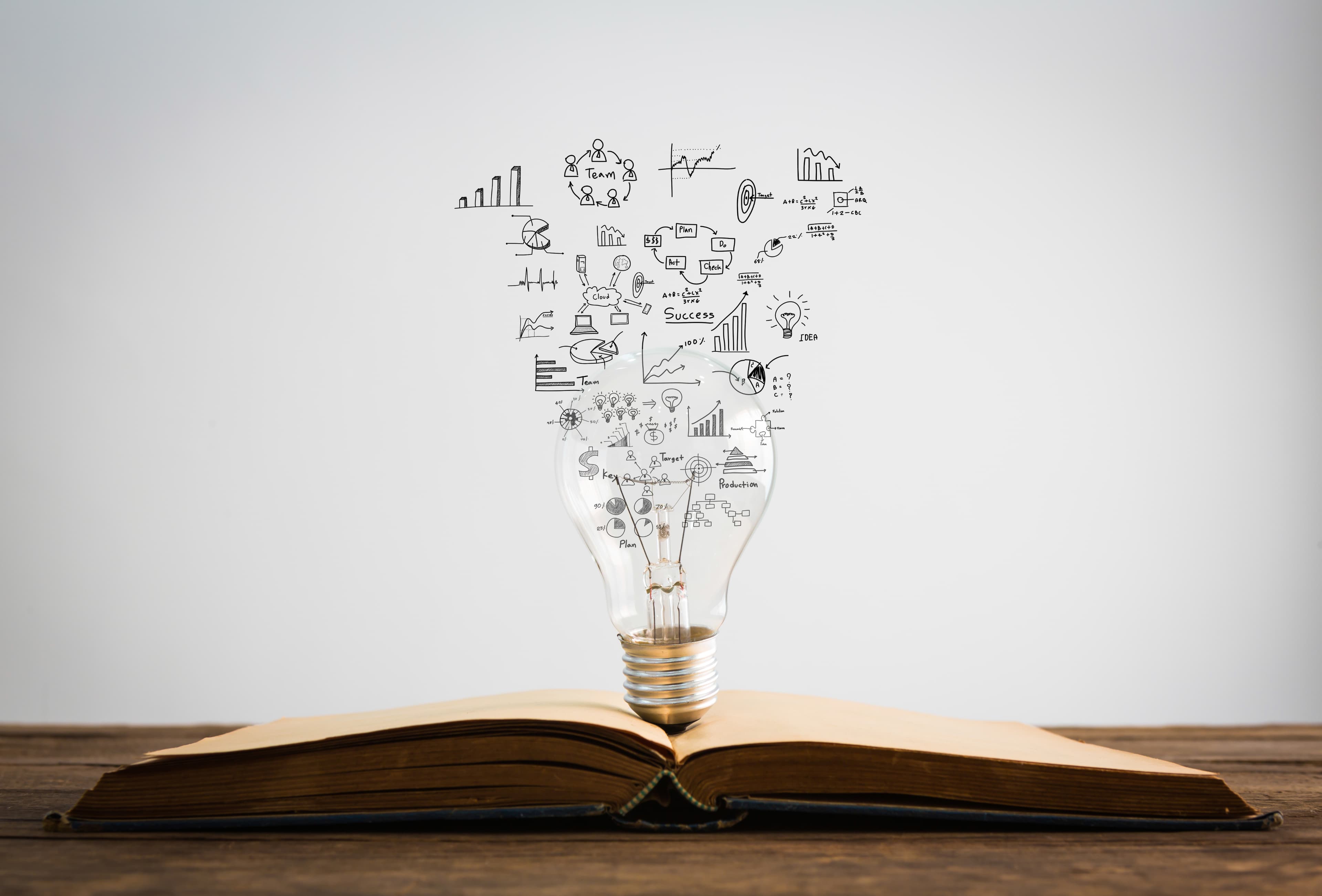 Curated Guidance in the Age of AI